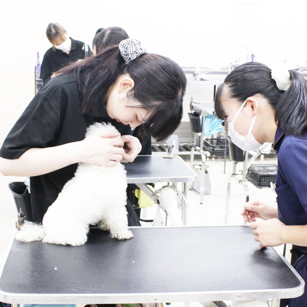 ☆1年生のトリミング実習☆